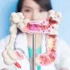 Anatomical intestine piece