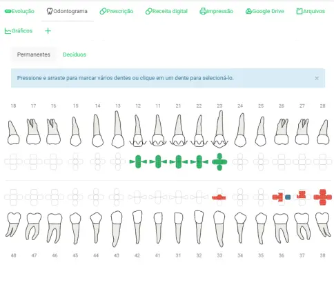 Odontogram screen